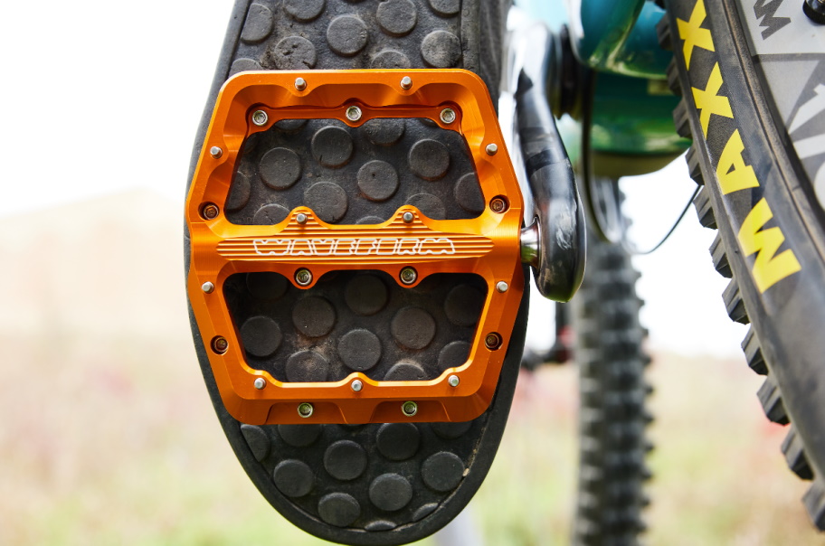 wt_waveform_pedals_on_shoe