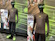 sea_otter_2024_fox_trail_apparel_thumb
