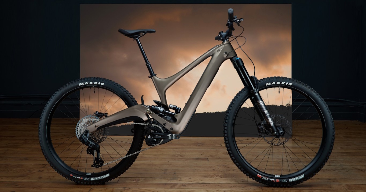 ibis_Oso11_Bronze_fb.jpg