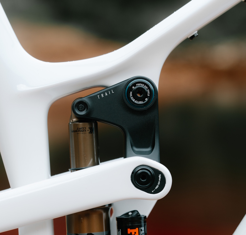 PROPAIN_TYEECF_TRAIL_chips